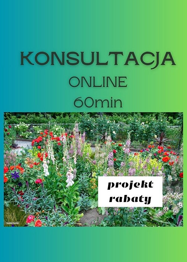 KONSULTACJA ONLINE PROJEKTU RABATY