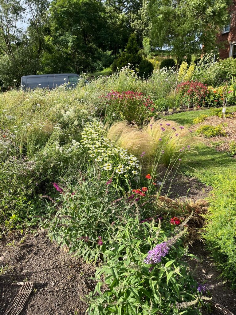 ogród naturalistyczny