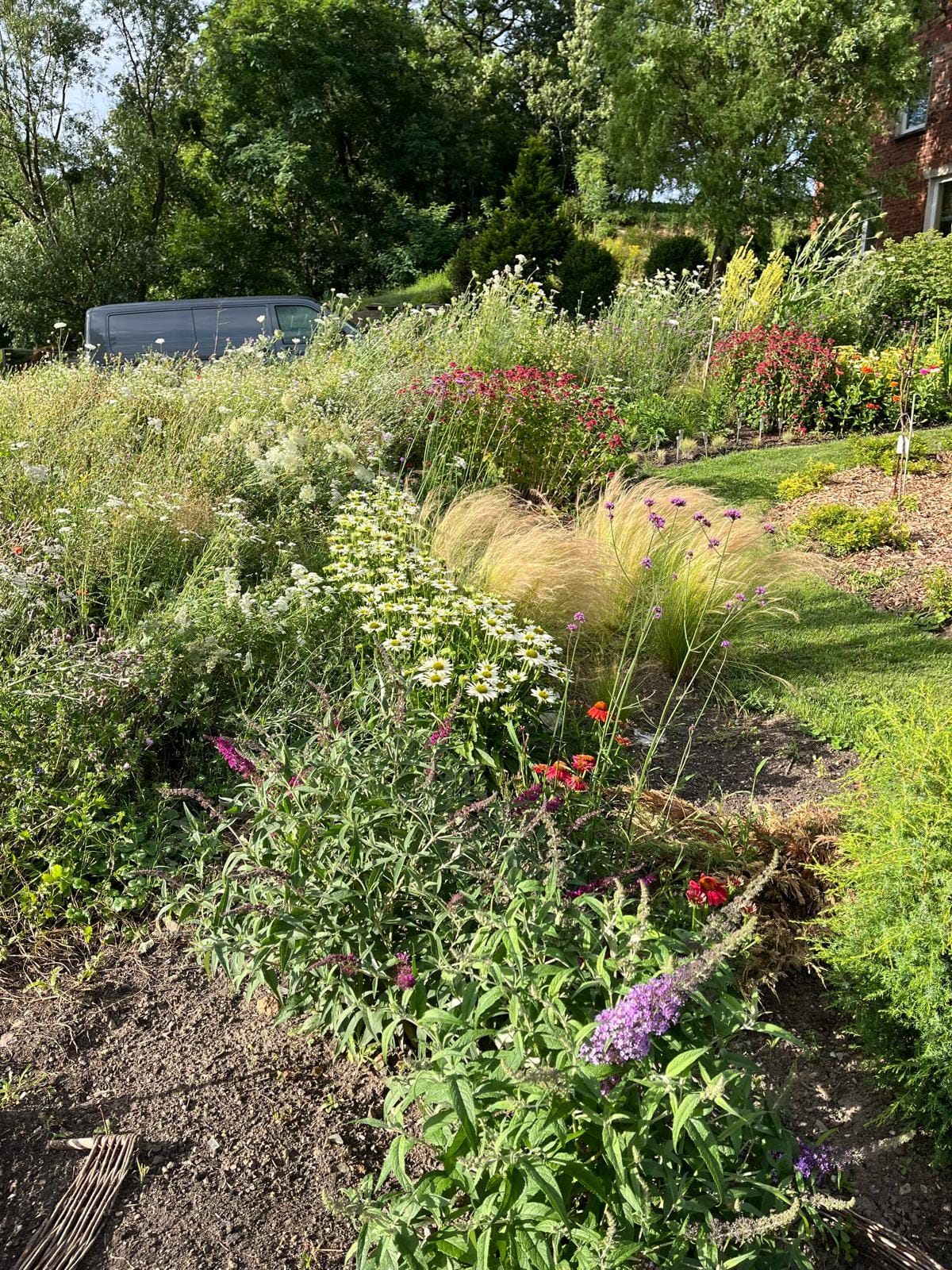 ogród naturalistyczny