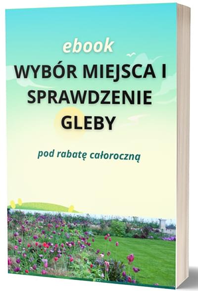 Ebook WYBÓR MIEJSCA I SPRAWDZENIE GLEBY POD RABATĘ CAŁOROCZNĄ